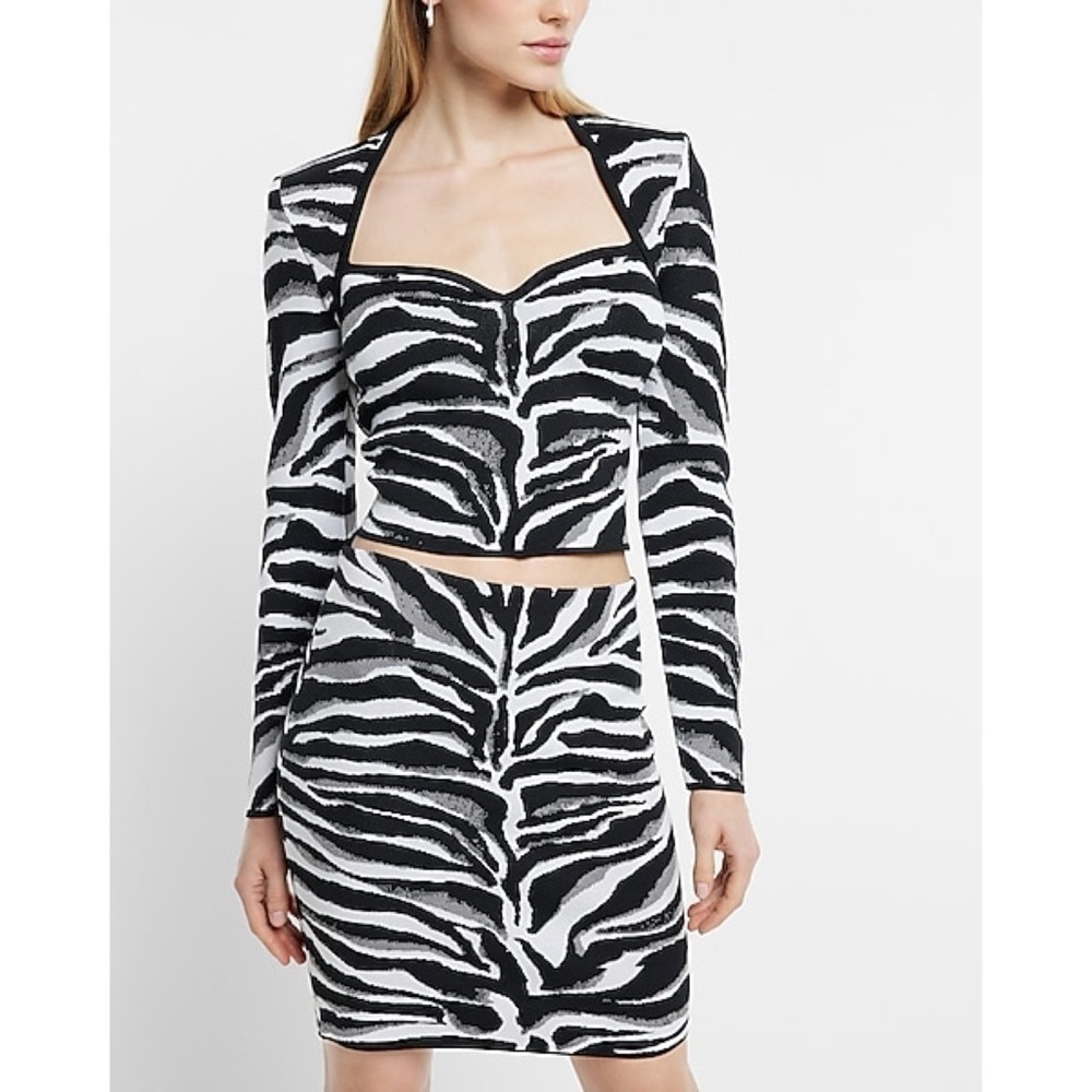 Express Sweater Zebra Print Sweetheart Neckline XS